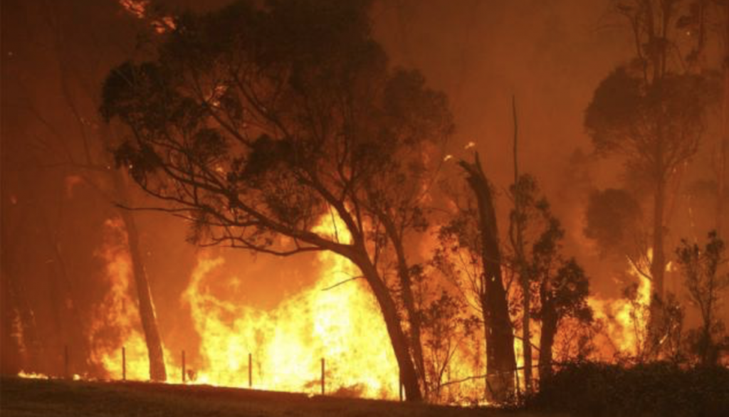 新州拉普维尔森林火灾，保险公司正在定损