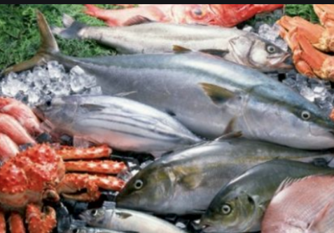 澳大利亚，日本，美国、加拿大的海鲜业都受到冠状病毒疫情冲击！