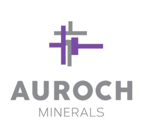 Auroch资源公司:在西澳洲勘探中发现镍矿资源
