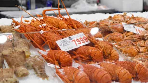 龙虾成为澳中贸易的又一牺牲品