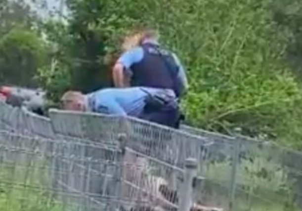 【视频】悉尼3警员跪压男子，男子大喊：“我不能呼吸”