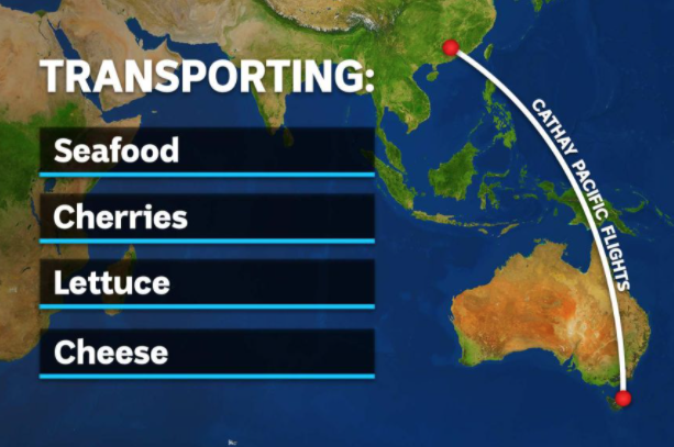 澳洲新鲜农货空运直输东南亚！这条生命线救了本地出口商