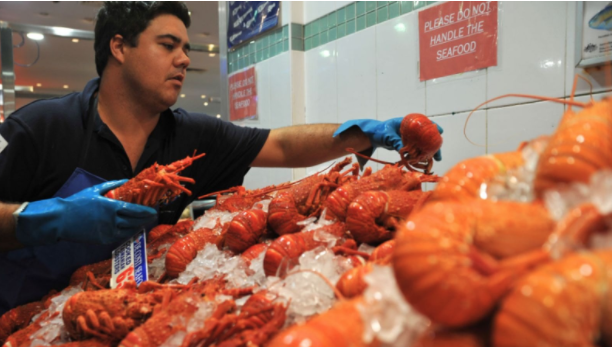 国内市场寻出路，澳洲最贵龙虾砍价70%求卖光！