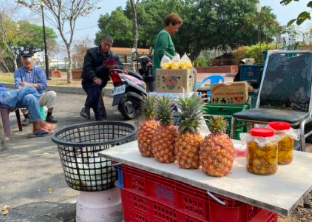 澳洲要从台湾进口新鲜菠萝？本地农民慌了：没这必要吧？