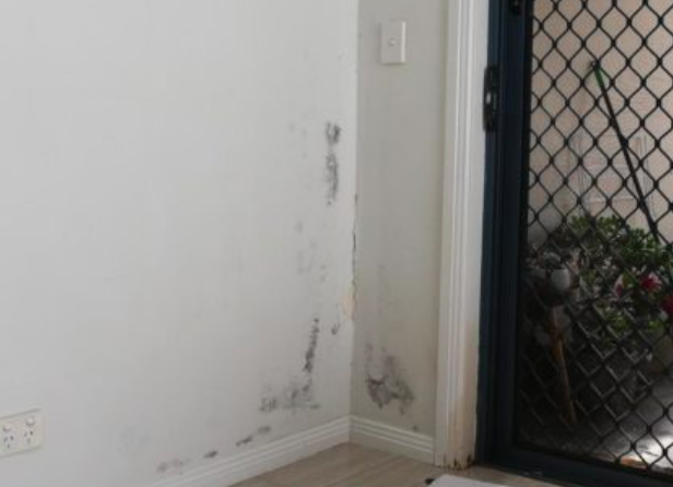 维修费比房子造价还高！悉尼11名排屋业主陷入绝境