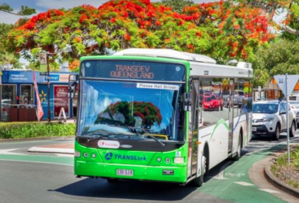 布里斯班第一批太阳能公交车上路载客，预计2025年全部淘汰换成绿能车！
