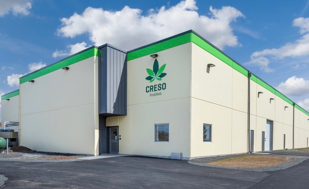 Creso Pharma完成了以大麻为基础的饲料的开发，以减少猪群的咬尾