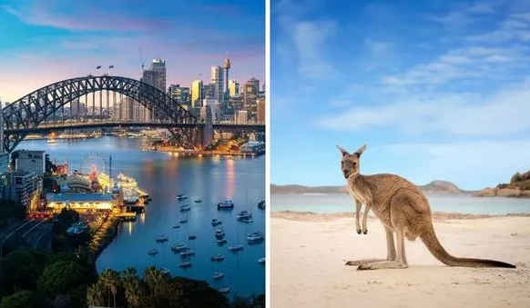 “封国令”一延再延，澳旅游业遭受重创，又一知名华人旅行社倒闭