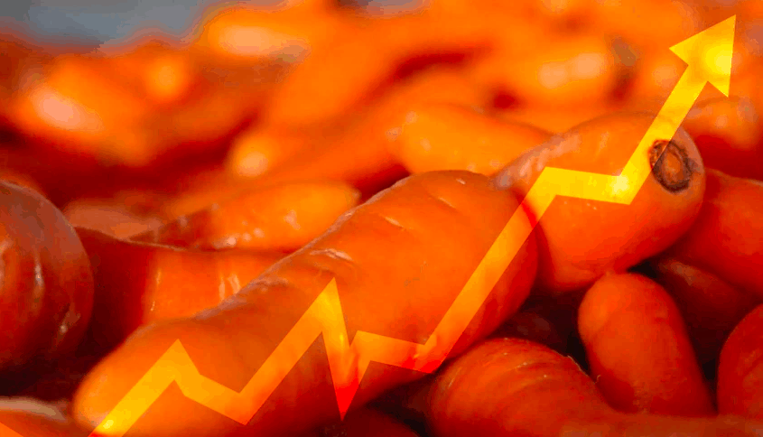 疫情期间澳洲胡萝卜出口增长，产值破亿