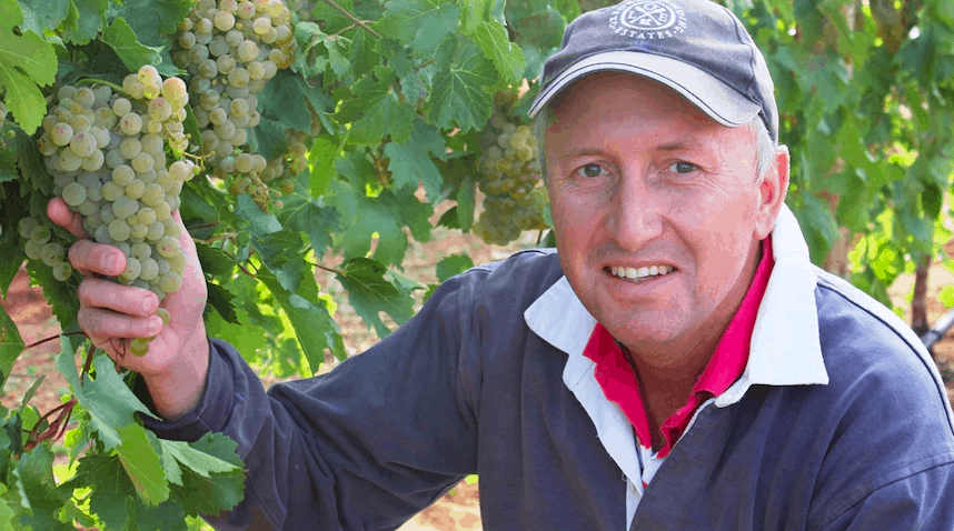 澳洲制酒葡萄迎来创纪录的大丰收