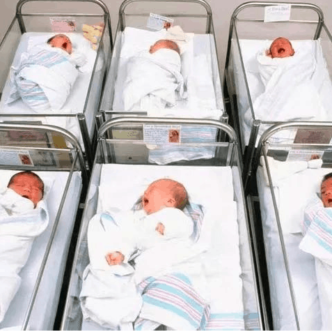 维州涌现婴儿潮：出生率破50% 政府拨款1320万元