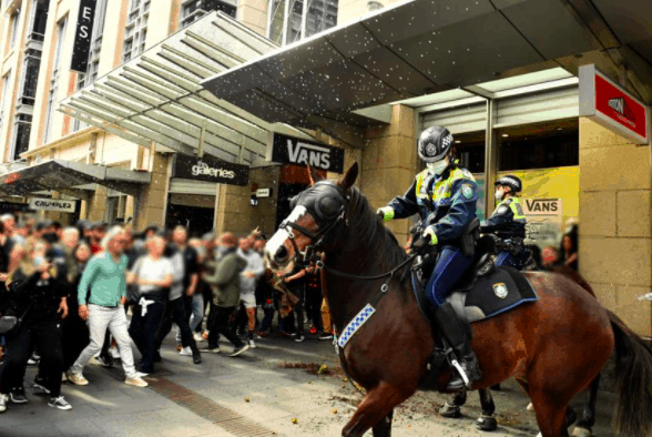 两名男子被控在悉尼反封锁游行中袭击警马