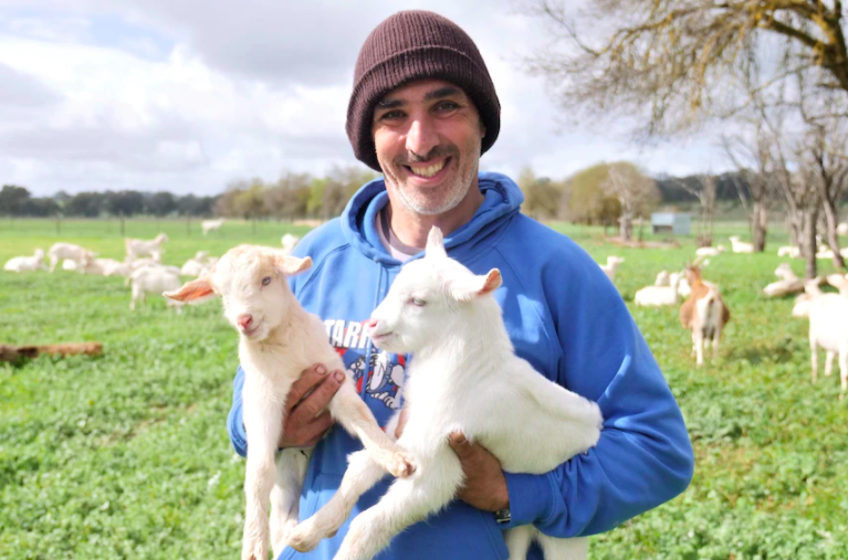 维州农场把新出生的羔羊命名为阿斯和利康