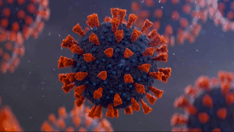 南非发现传染性更强的新冠变异病毒