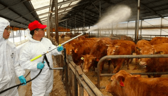 澳洲为动物疾病研究投入840万元！研究预防人畜共患病流行风险