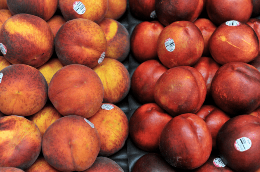澳洲桃子油桃重回越南市场！农业部长称越南是优质市场