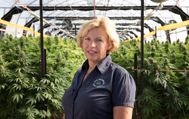持续的大麻产品需求推动了ECS Botanics更多的收入增长