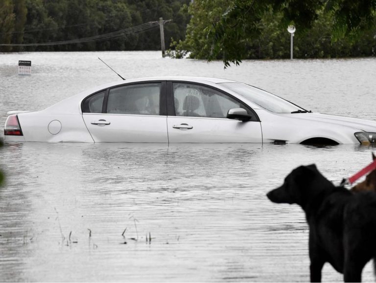 新、昆州洪灾损失一切由纳税人买单？