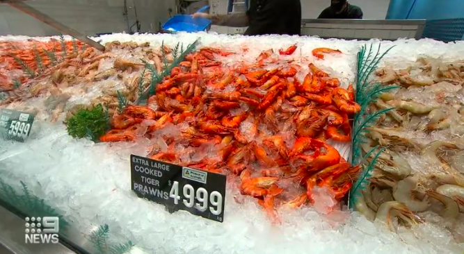  澳洲海鲜价格或创历史新高！消费者被敦促在复活节前下单