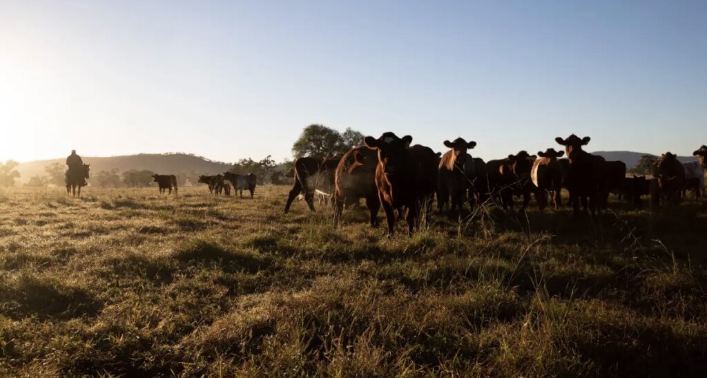 澳洲农业用地涨幅创纪录！今年预计继续飙涨