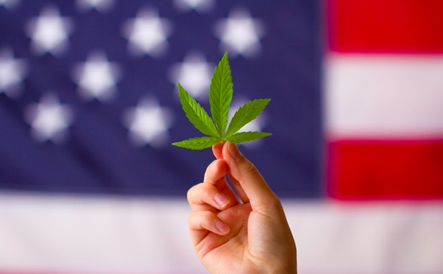 美国众议院通过一项法案，将大麻在全国范围内合法化