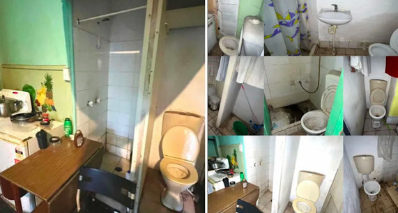悉尼一房产“不寻常”：“近乎废弃”却以5万成功售出！8个厕所引网友吐槽 