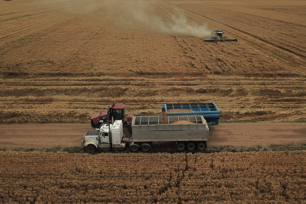 NSW HARVEST FEATURE