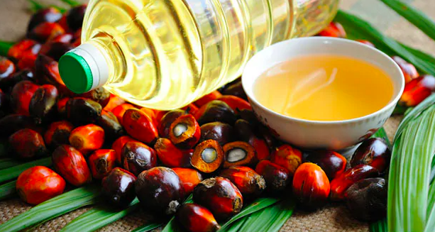 印尼称印度承诺进口260万吨棕榈油产品
