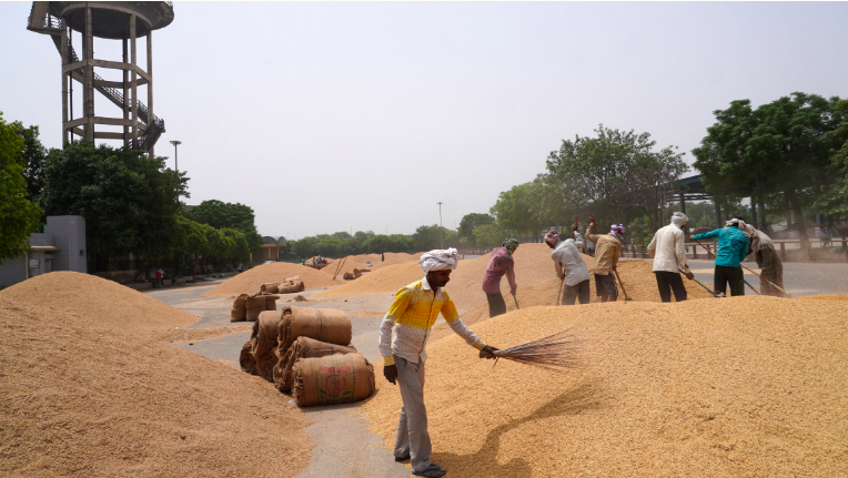 印度限制大米出口，将引发全球食品通胀的担忧