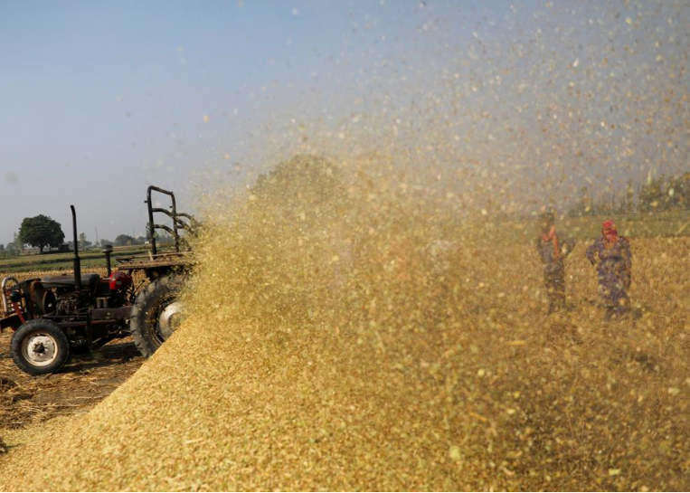 印度限制大米出口，将引发全球食品通胀的担忧