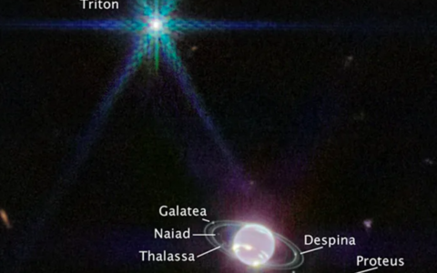 韦伯太空望远镜捕捉到海王星的星环