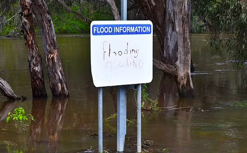澳洲3天内遭受350万次雷击！新州连发98个洪水预警，悉尼将出现雷暴天气