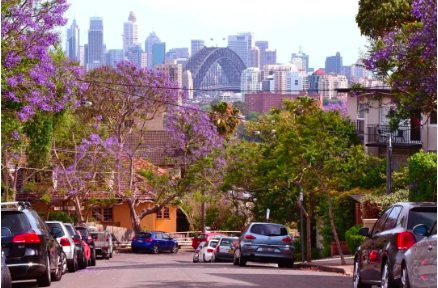 好区指南 | 悉尼下北低调的富人区，生活便利、学校林立，你知道是哪吗？