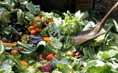 蔬菜也看脸？就因长得不好看，每年被扔掉的优质农产品数以吨计！