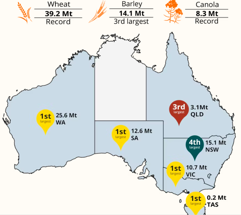 澳洲农业大丰收，今年产出达创纪录的900亿澳元