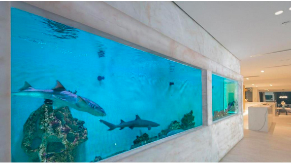 悉尼滨海房产0万挂牌上市！内含6米长“鲨鱼缸”，中介：机会难得别错过 