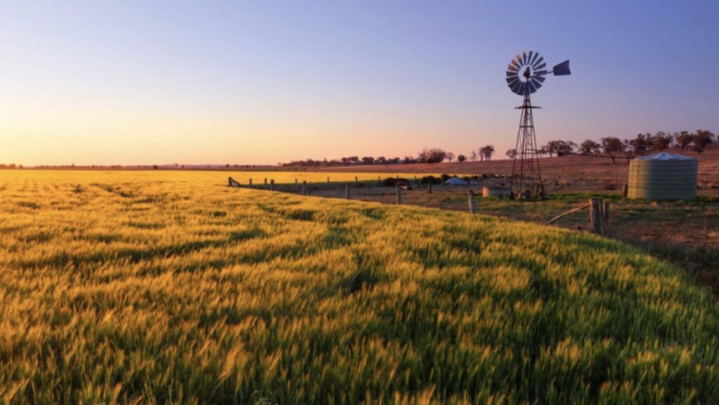 今年澳洲农业用地价格将呈“两位数”上涨