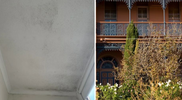 “霉菌遍布，浑身痒，呼吸困难”：悉尼不宜居住租赁房引争议，房东难逃其责 