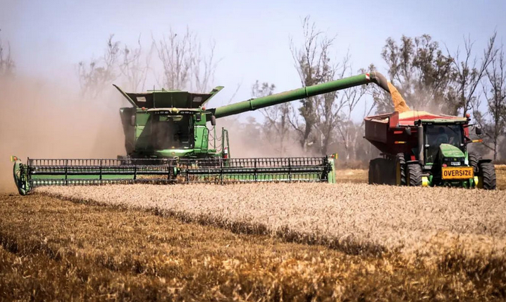 澳媒：中国取消大麦关税，为艾博年年内访华铺平道路