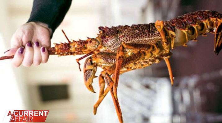 “4龙虾钱不给！”悉尼中餐厅指责网红吃霸王餐遭起诉，法庭费用或达0万