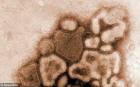 澳洲多地乙型流感病例数激增，新州一周内超1600人确诊！