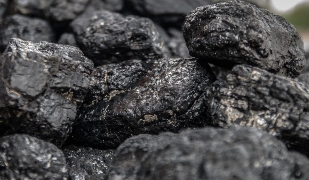 澳洲煤炭开采商新希望 宣布每股分红17澳分