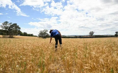 CSIRO发布农业可持续未来报告  警告农民需准备应对气候变化